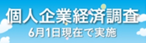 個人企業経済調査